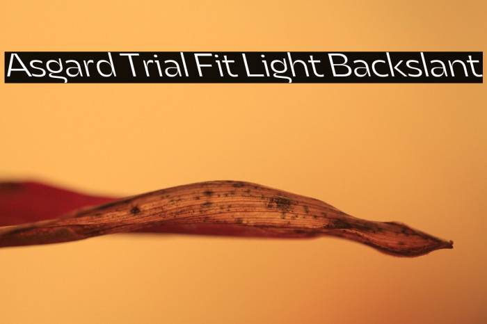 Asgard Trial Fit Light Backslant Example 1