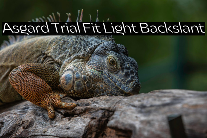 Asgard Trial Fit Light Backslant Example 3