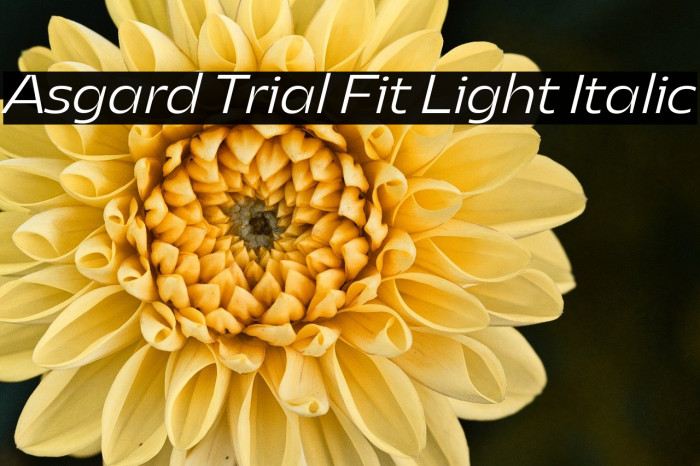 Asgard Trial Fit Light Italic Example 1