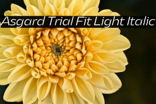 Asgard Trial Fit Light Italic Example 1