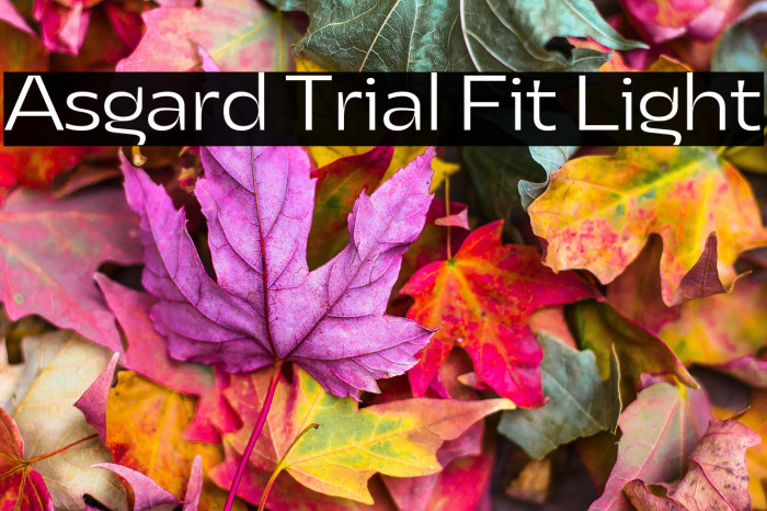 Asgard Trial Fit Light Example 2