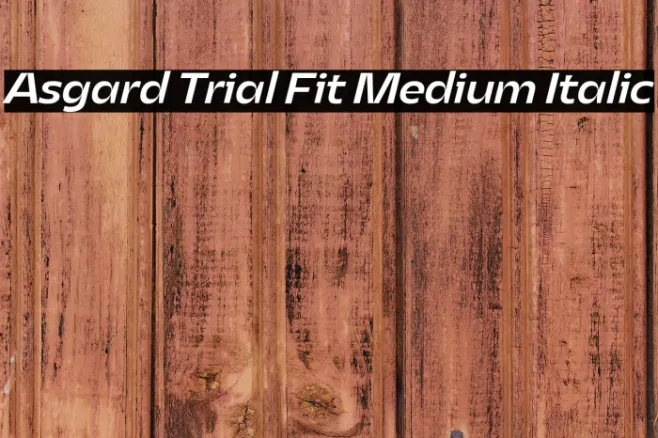 Asgard Trial Fit Medium Italic Example 2