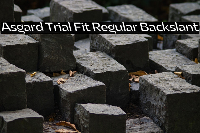 Asgard Trial Fit Regular Backslant Example 1