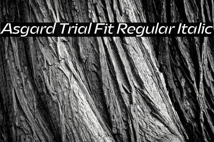 Asgard Trial Fit Regular Italic Example 1