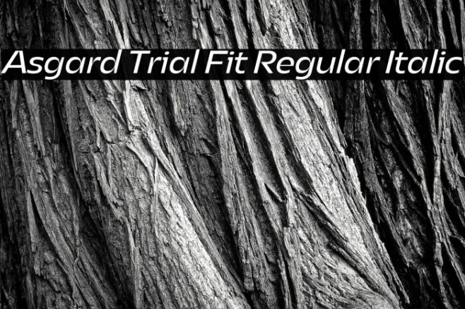 Asgard Trial Fit Regular Italic Example 1