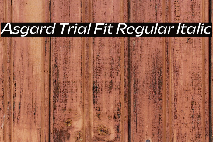 Asgard Trial Fit Regular Italic Example 3