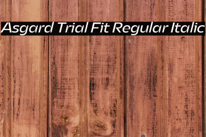 Asgard Trial Fit Regular Italic Example 3