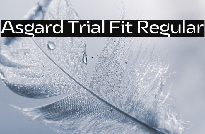 Asgard Trial Fit Regular Example 1