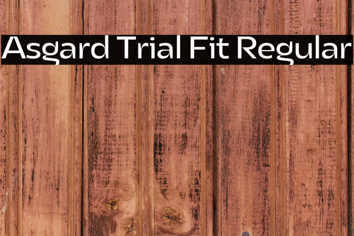 Asgard Trial Fit Regular Example 2