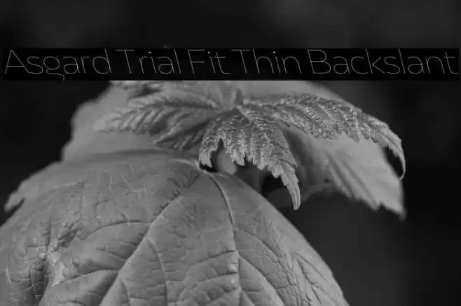 Asgard Trial Fit Thin Backslant Font examples