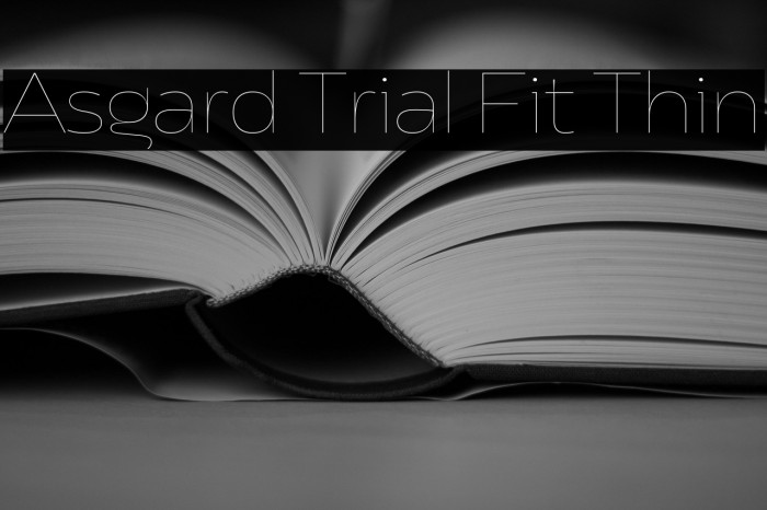 Asgard Trial Fit Thin Example 2