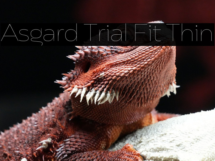 Asgard Trial Fit Thin Example 3