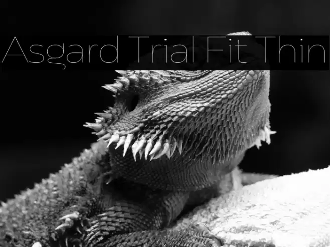 Asgard Trial Fit Thin Font examples