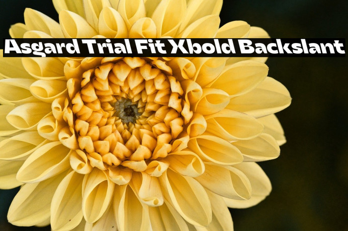 Asgard Trial Fit Xbold Backslant Example 2