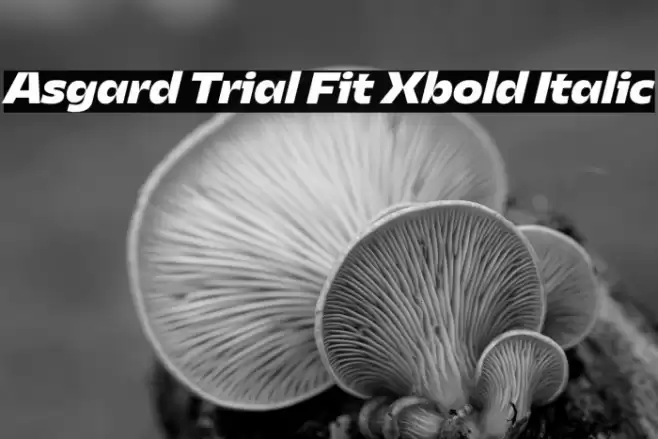 Asgard Trial Fit Xbold Italic Font examples