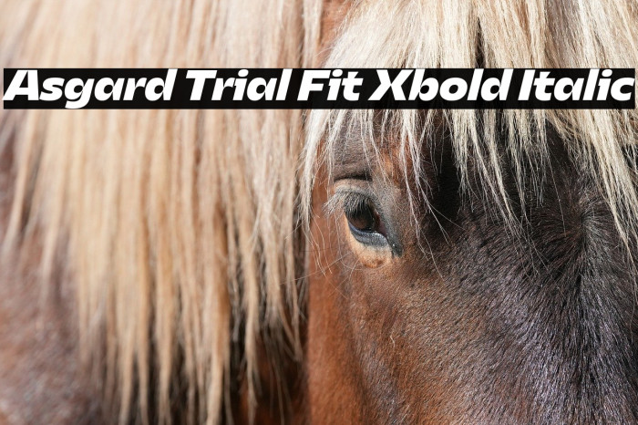 Asgard Trial Fit Xbold Italic Example 3
