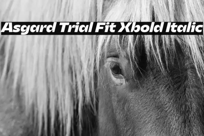 Asgard Trial Fit Xbold Italic Font examples