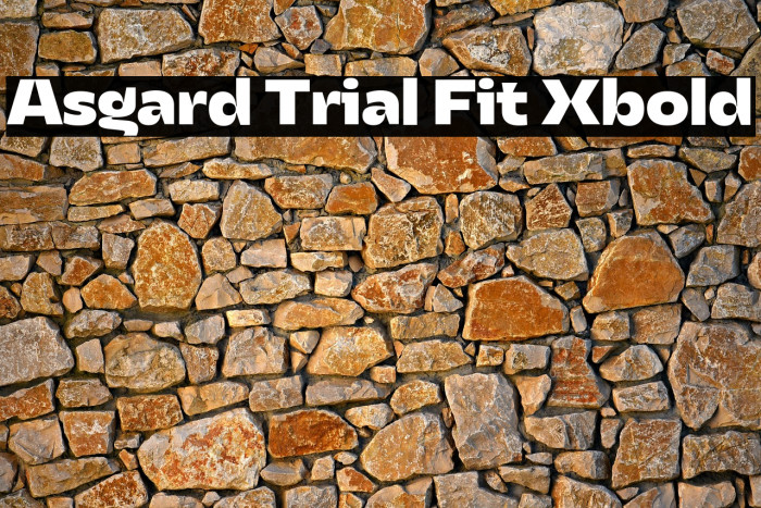 Asgard Trial Fit Xbold Example 2