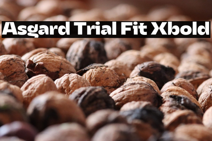 Asgard Trial Fit Xbold Example 3