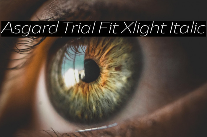 Asgard Trial Fit Xlight Italic Example 2