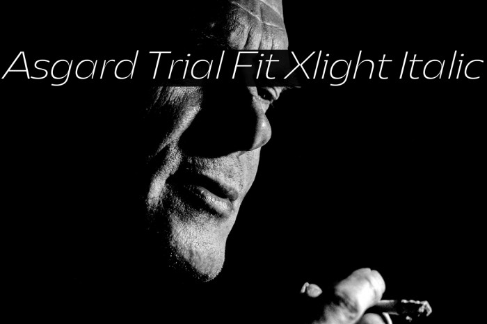 Asgard Trial Fit Xlight Italic Example 3