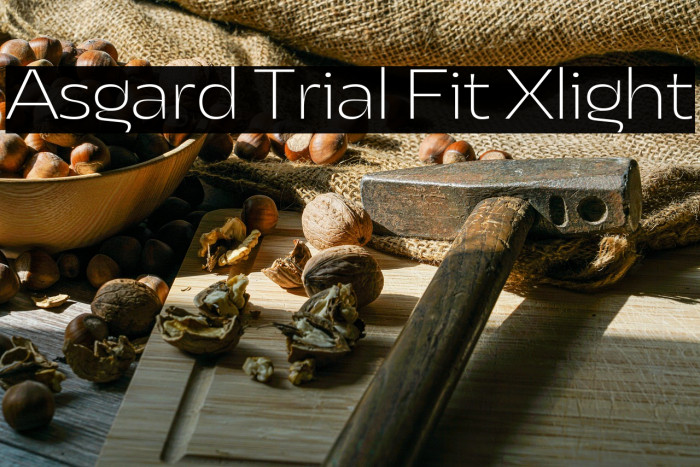 Asgard Trial Fit Xlight Example 1