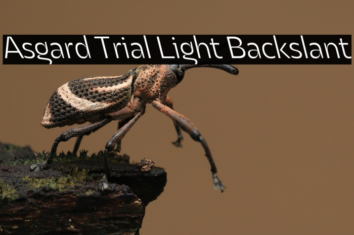 Asgard Trial Light Backslant Example 2