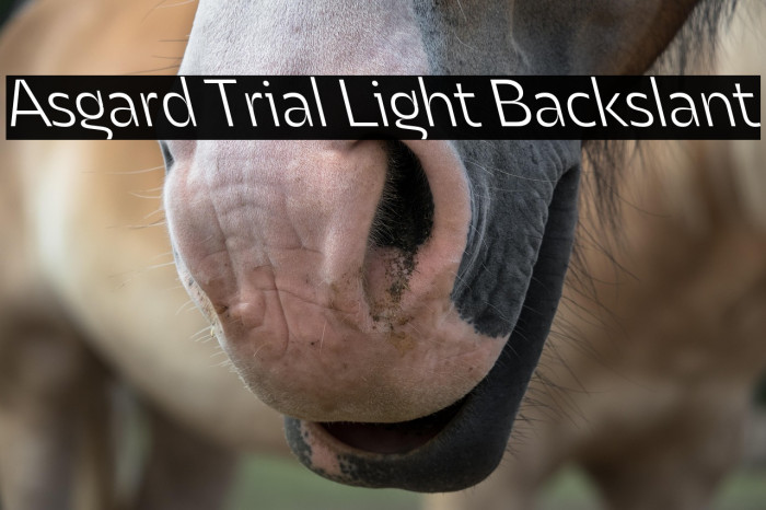 Asgard Trial Light Backslant Example 3