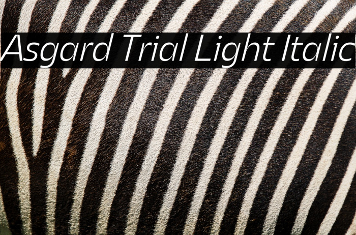 Asgard Trial Light Italic Example 1