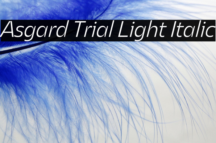 Asgard Trial Light Italic Example 2