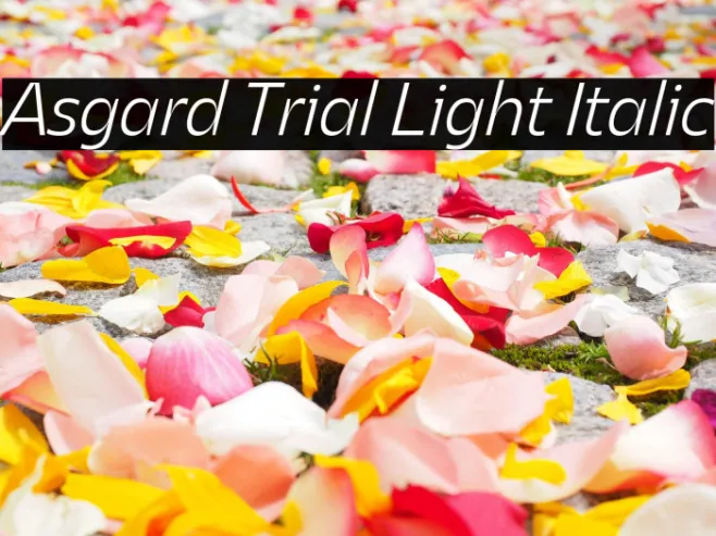 Asgard Trial Light Italic Example 3