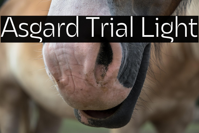 Asgard Trial Light Example 2