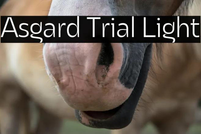 Asgard Trial Light Example 2