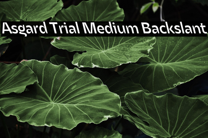 Asgard Trial Medium Backslant Example 1
