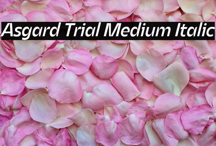 Asgard Trial Medium Italic Example 1