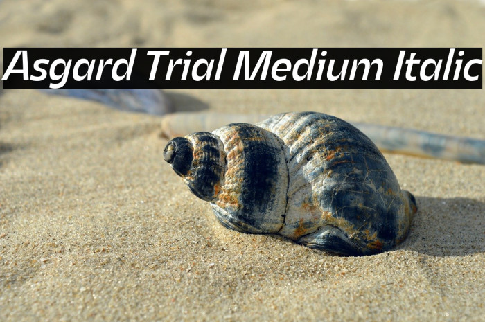 Asgard Trial Medium Italic Example 2