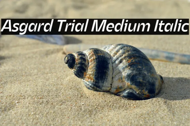 Asgard Trial Medium Italic Example 2