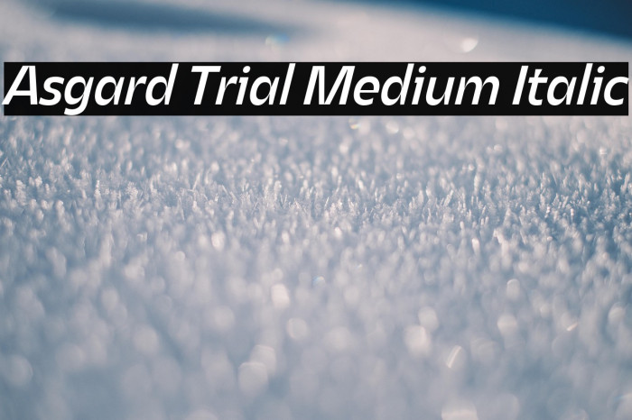 Asgard Trial Medium Italic Example 3