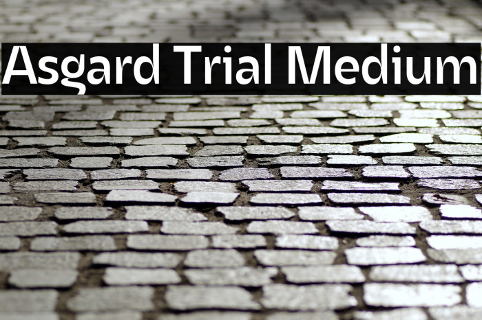 Asgard Trial Medium Example 1