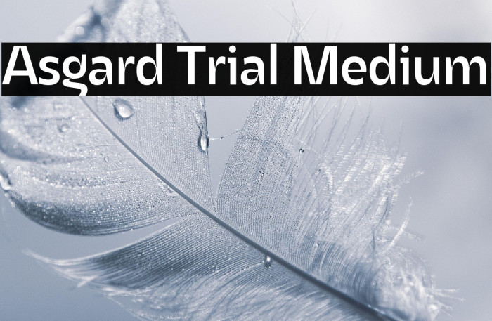 Asgard Trial Medium Example 2