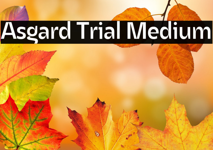 Asgard Trial Medium Example 3