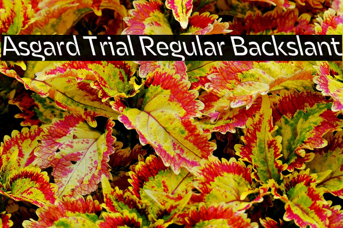 Asgard Trial Regular Backslant Example 1