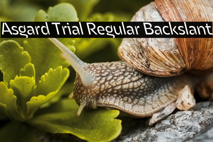 Asgard Trial Regular Backslant Example 3