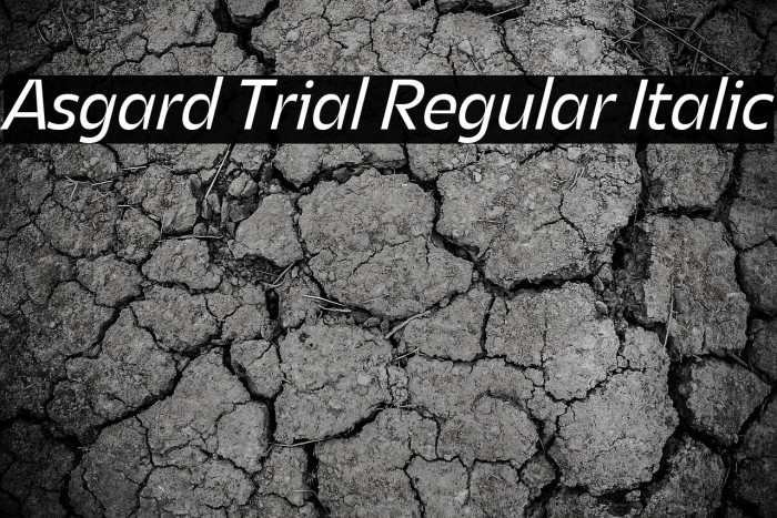 Asgard Trial Regular Italic Example 1