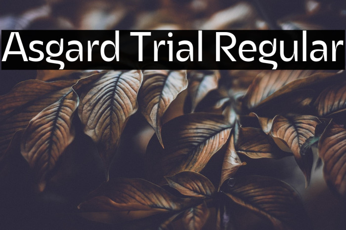 Asgard Trial Regular Example 1