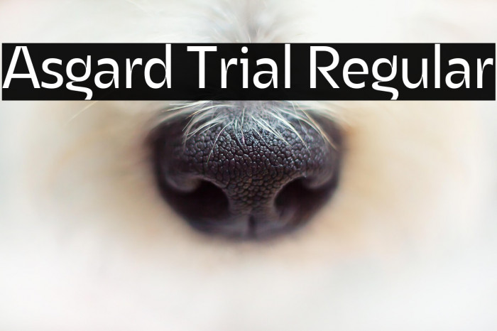 Asgard Trial Regular Example 2