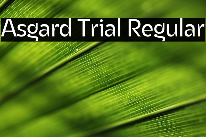 Asgard Trial Regular Example 3