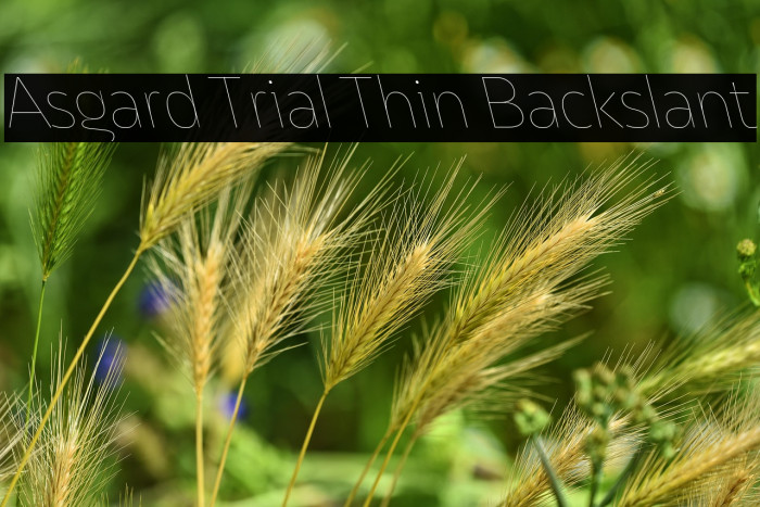 Asgard Trial Thin Backslant Example 1