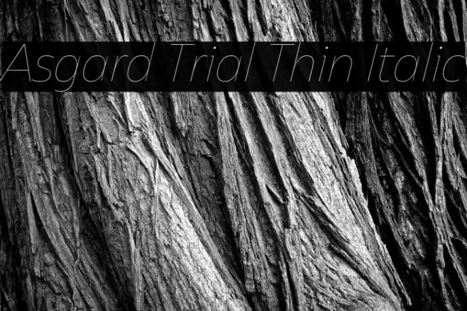 Asgard Trial Thin Italic Font examples