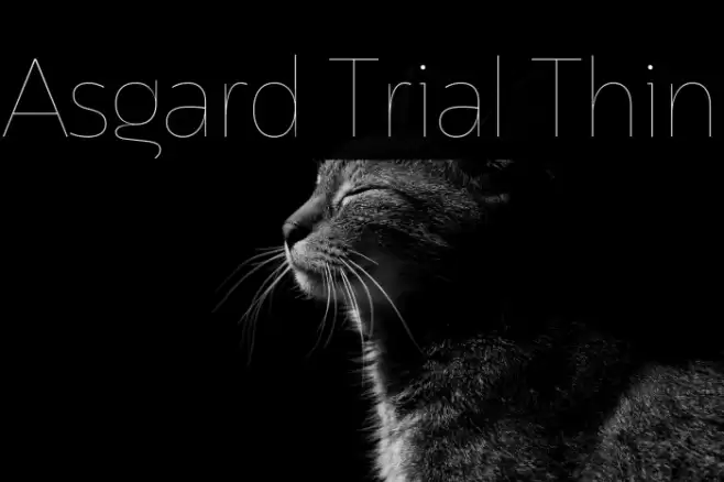 Asgard Trial Thin Font examples